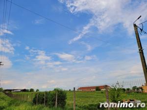 Teren Intravilan, 9,5 ha, 25 KM de Timisoara - imagine 10