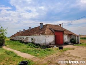 Teren Intravilan, 9,5 ha, 25 KM de Timisoara - imagine 19