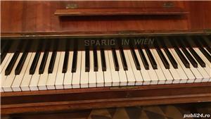 Vand Pianina - imagine 2