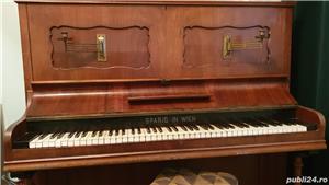 Vand Pianina - imagine 3