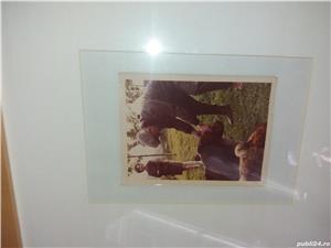 Vand 6 poze Ceausescu - imagine 4