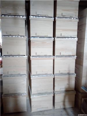  Stupi pe 10 rame  - imagine 5