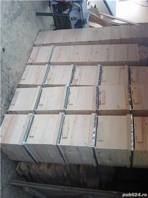  Stupi pe 10 rame  - imagine 7