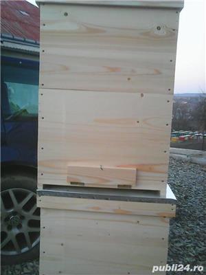  Stupi pe 10 rame  - imagine 2