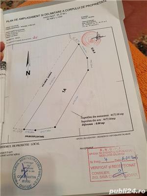 Teren  intravilan, 5900mp, Acces din DN4, COMUNA CURCANI JUDETUL CALARASI  - imagine 5