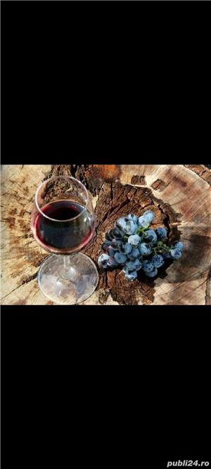 Vin din Vita Nobila - Cabernet Sauvignon