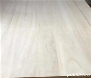 panou paulownia  - imagine 2