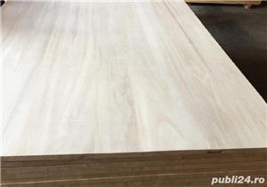 panou paulownia  - imagine 4