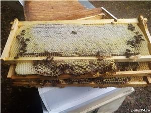 vand miere salcam,mana ,poliflora,rapita - imagine 9