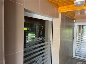 Pensiune câini DN1 Ploiesti-București  - imagine 4