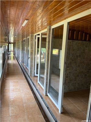 Pensiune câini DN1 Ploiesti-București  - imagine 3