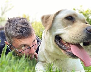 Pensiune câini DN1 Ploiesti-București  - imagine 7