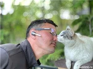 Pensiune câini DN1 Ploiesti-București  - imagine 10