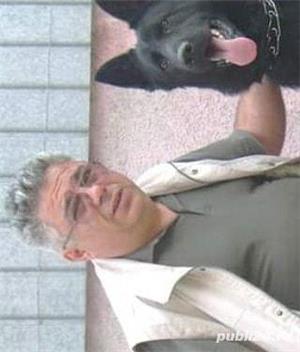 caini de paza - imagine 2 caini de paza - imagine 2