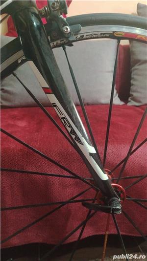 cursiera full carbon - imagine 4