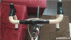 cursiera full carbon - imagine 6