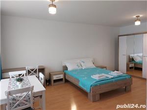 Cazare regim hotelier apartament 1 camera Pacurari (Dream Village) - imagine 2