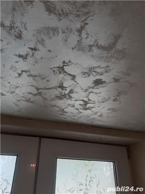 zugrav:glet,lavabila la trafalet sau cu pompa,efecte decorative. - imagine 3