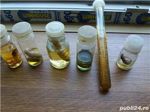 Colectie souvenir bibelouri China vechi jad preot invatator caine insectar taranca cu urcior roman - imagine 10