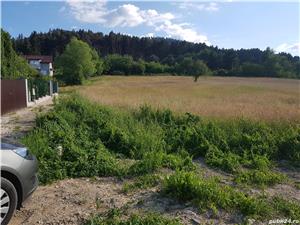 Proprietar, 2000mp aproape de padure, panorama deosebita, capat str N.Colceag - imagine 4