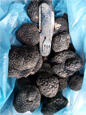 trufe proaspete fresh parfumate  - imagine 2