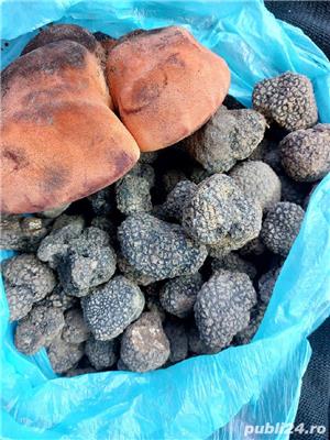 trufe proaspete fresh parfumate  - imagine 3