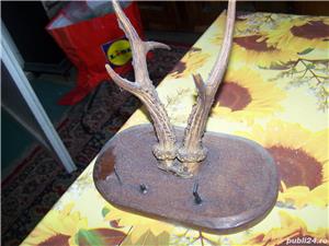 vand diferite vaze cristal etc - imagine 8