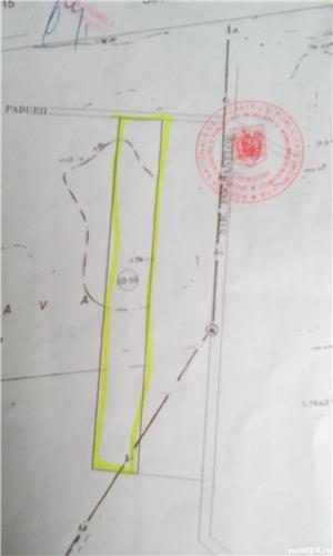 Vând teren 5000 M2  jilava[fost sect.4] lot 58665 - imagine 2