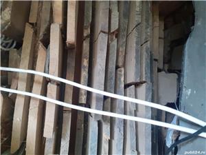 Scandura Frasin & Cires - imagine 2