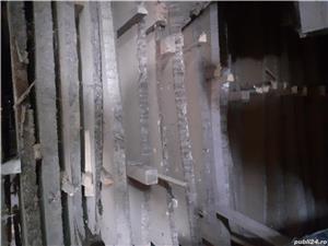 Scandura Frasin & Cires