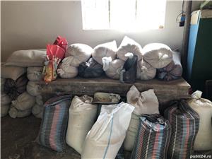 Moara porumb si 2 urluitoare - imagine 9