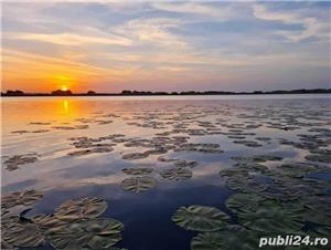 Excursii / Plimbari cu barca Delta Dunarii - Murighiol - imagine 3