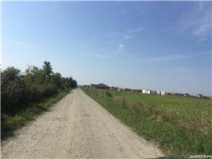 Proprietar, vand teren 18.800mp (1.88ha), in Mosnita Veche, langa Padurea Bistra - imagine 4