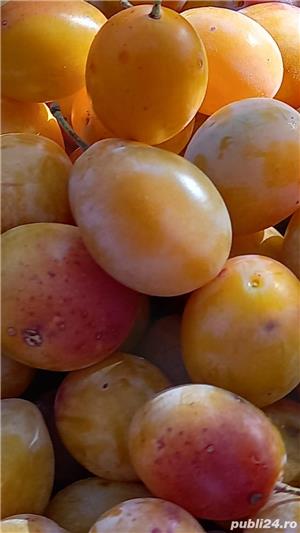 Horinca....Palincă  - imagine 3