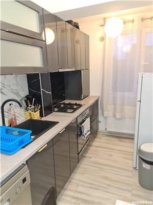 Regim Hotelier STUDIO 23 Craiovița Noua - imagine 7