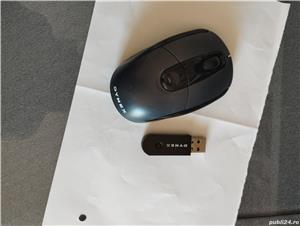 Mouse wireless Dinex 