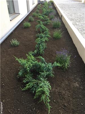 Amenajare gradini si spatii verzi rezidentiale