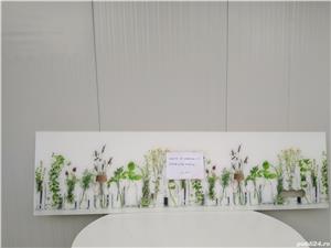 Perete sticlă decorativă