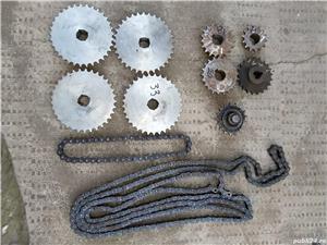 Roti dintate. lant gall,roti lant