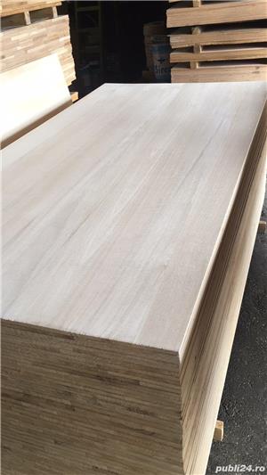 panou paulownia  - imagine 8