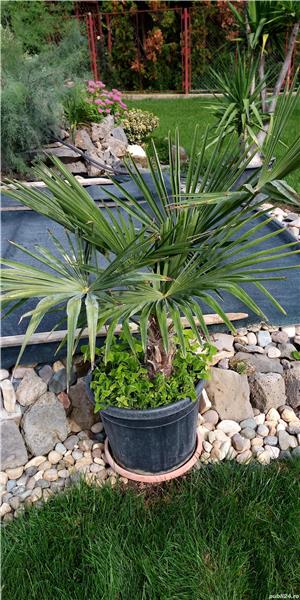  Vand planete de interior si exterior. - imagine 2