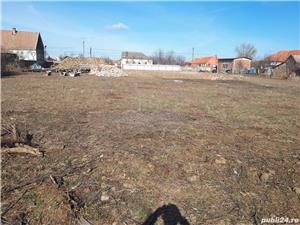 Vând teren in loc. Secusigiu 2900 mp,la sosea - imagine 7
