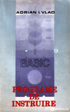 Basic Programe de instruire