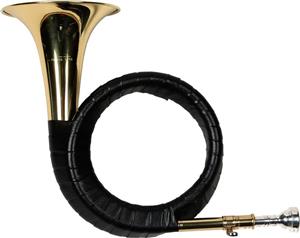 Corn de vanatoare domnesc Karl Glaser Bb Fürst Pless Horn - imagine 4