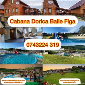 Cazare Cabana Dorica Baile figa 