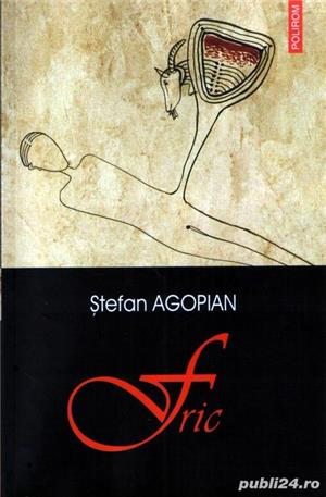 Fric de  Ştefan Agopian