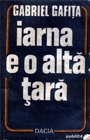 Iarna e o altă  ară de Gabriel Gafiţa