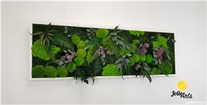 Tablou licheni, muschi si plante naturale stabilizate, Model Island, Jolie Arts - imagine 2