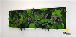Tablou licheni, muschi si plante naturale stabilizate, Model Island, Jolie Arts - imagine 3