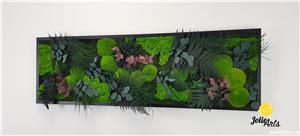 Tablou licheni, muschi si plante naturale stabilizate, Model Island, Jolie Arts - imagine 6